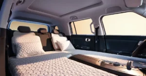 Interior flexible BAIC BJ30 hibrida