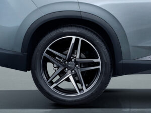 Llantas Dongfeng Aeolus Mage