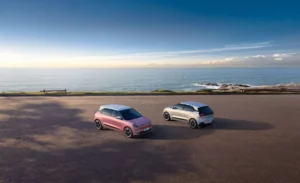 Dongfeng Box en color gris y en color rosa
