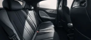Plasas traseras BYD Dolphin Mini