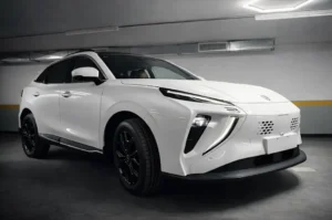 Vista frontal Forthing Friday REEV