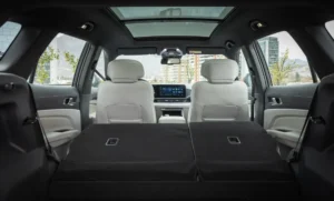 Baul Ford Territory Platinum