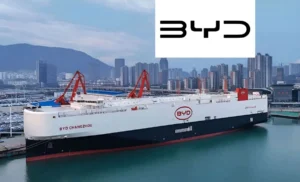 BYD Primer Año en Argentina